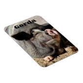 Flexible Gorda Magnet (Côté Droit)