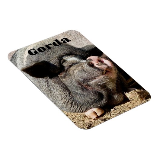 Flexible Gorda Magnet (Côté Droit)