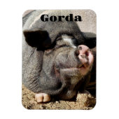 Flexible Gorda Magnet (Vertical)