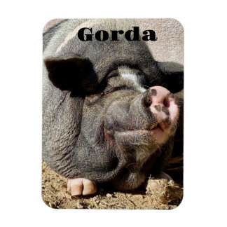 Flexible Gorda Magnet