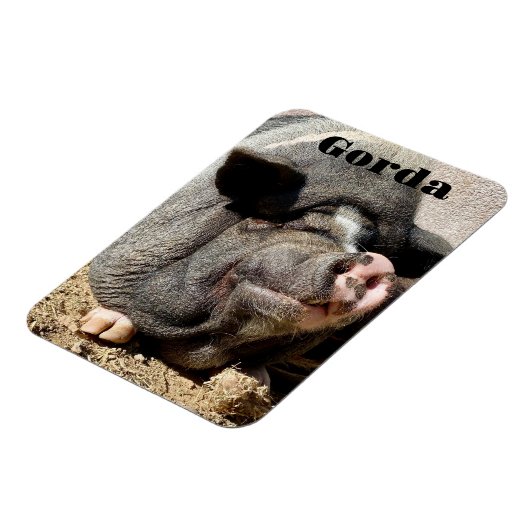 Flexible Gorda Magnet (Côté Gauche)