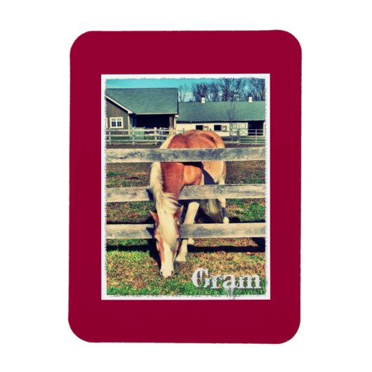 Flexible Gram Deluxe Edition Magnet (Vertical)