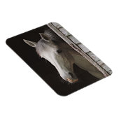 Flexible Gray Mare Magnet de cheval magnifique (Côté Droit)