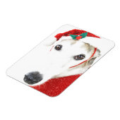 Flexible Greyhound Christmas Magnet - Pour la Charité (Côté Gauche)