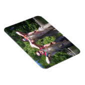 Flexible Gros chats Premium Flexi Magnet (Côté Droit)
