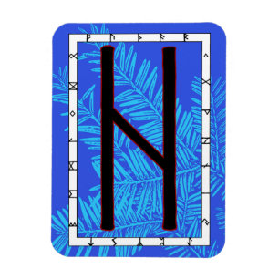 Flexible Hagalaz Viking Rune Magnet - Transformation!