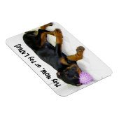 Flexible Heidi Play Now ou Pay Later Magnet (Côté Droit)