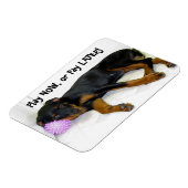 Flexible Heidi Play Now ou Pay Later Magnet (Côté Gauche)