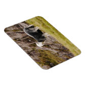 Flexible Herdwick Sheep Magnet (Côté Droit)