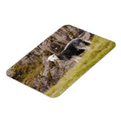 Flexible Herdwick Sheep Magnet (Côté Gauche)