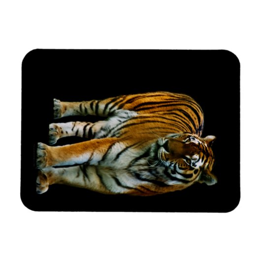 Flexible Hu Lin Premium Magnet (Horizontal)