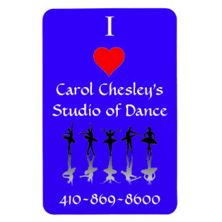 Flexible I Love CCSD Magnet