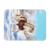 Flexible Icelandic Pinto Winter Magnet (Horizontal)