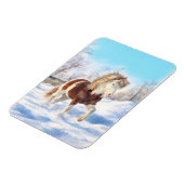 Flexible Icelandic Pinto Winter Magnet (Côté Gauche)