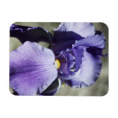 Flexible Il y a Beauty Premium Magnet (Horizontal)