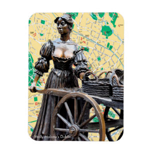 Flexible Image irlandaise de Photo Magnet