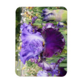 Flexible IRIS FLOWER MAGNET Horizontal (Vertical)