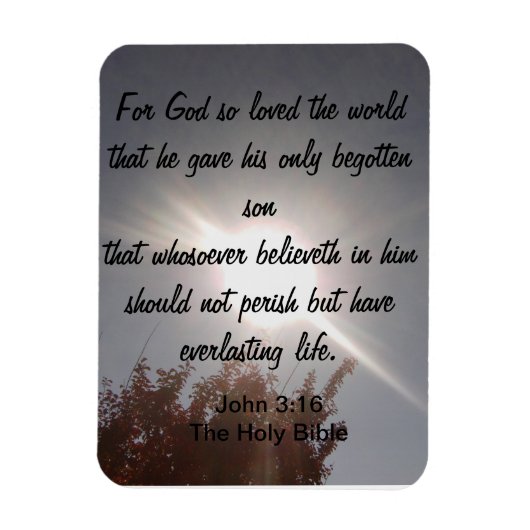 Flexible John 3:16 Magnet (Vertical)