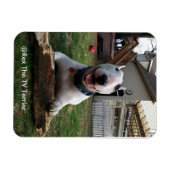 Flexible Joyeux Rex Magnet (Horizontal)