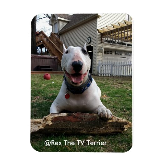 Flexible Joyeux Rex Magnet (Vertical)