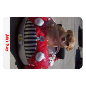 Flexible Juno Magnet (Horizontal)