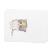 Flexible Katie kitten cute fridge magnet (Horizontal)