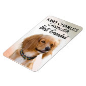 Flexible King Charles Cavalier Best Grand Magnet (Côté Gauche)