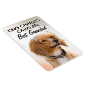 Flexible King Charles Cavalier Best Grand Magnet (Côté Droit)