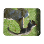 Flexible La statue de Hungry Squerrl et Bunny Magnet (Horizontal)