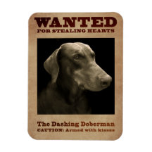 Le Dashing Doberman Magnet