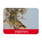 Flexible Leopard, Namibie Magnet (Horizontal)