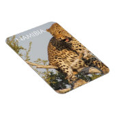 Flexible Leopard, Namibie Magnet (Côté Droit)