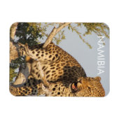 Flexible Leopard, Namibie Magnet (Horizontal)