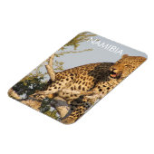 Flexible Leopard, Namibie Magnet (Côté Gauche)