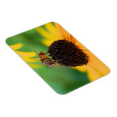 Flexible Les abeilles de l'été - Daisy Magnet (Côté Droit)