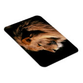 Flexible Lion Magnet (Côté Droit)