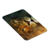 Flexible Lion of Judah - Rastafara - Reggae Rasta Magnet (Côté Droit)