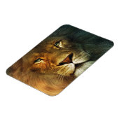 Flexible Lion of Judah - Rastafara - Reggae Rasta Magnet (Côté Gauche)