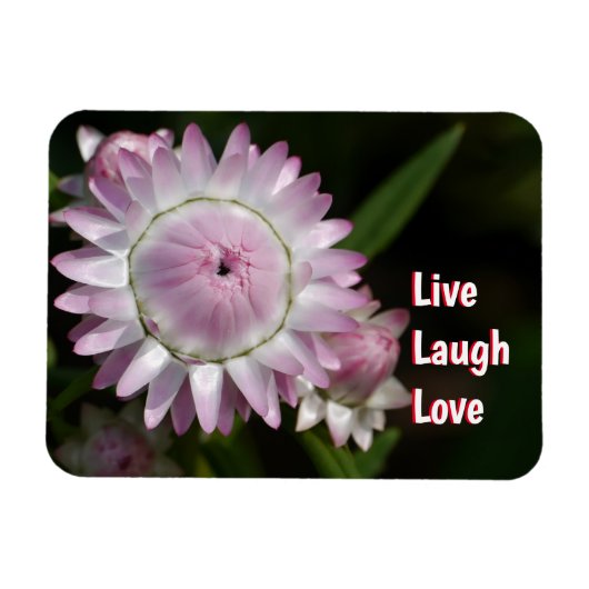 Flexible Live Laugh Love Daisy Magnet (Horizontal)