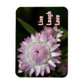 Flexible Live Laugh Love Daisy Magnet (Vertical)