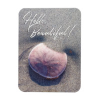 Live Sand Dollar Photo Bonjour Magnet
