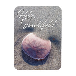 Flexible Live Sand Dollar Photo Bonjour Magnet