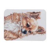 Flexible Long Haired Chihuahua Chig Magnet d'art (Horizontal)