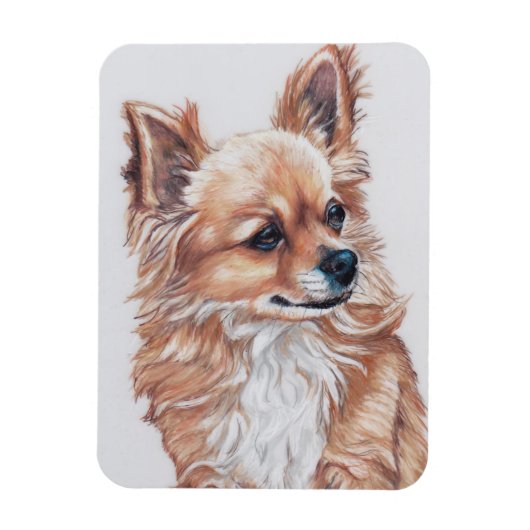 Flexible Long Haired Chihuahua Chig Magnet d'art (Vertical)