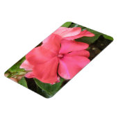 Flexible Macro à fleur rose Impatiens Magnet Premium (Côté Gauche)