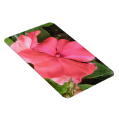 Flexible Macro à fleur rose Impatiens Magnet Premium (Côté Droit)