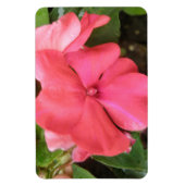 Flexible Macro à fleur rose Impatiens Magnet Premium (Vertical)
