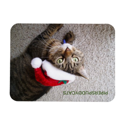 Flexible Magnet (Horizontal)