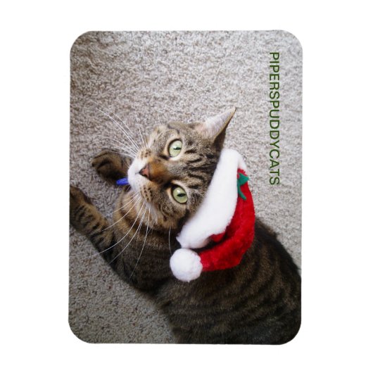 Flexible Magnet (Vertical)