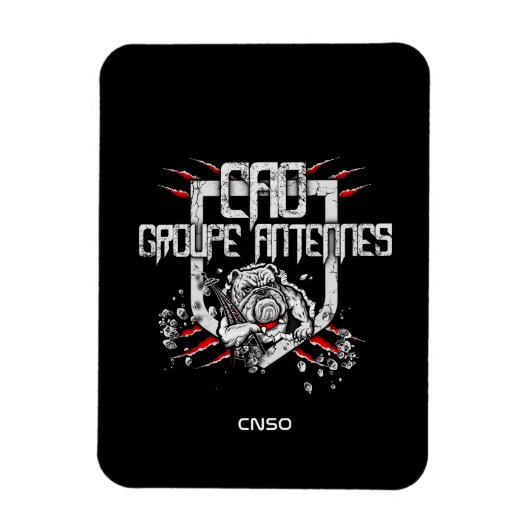 FLEXIBLE MAGNET ANTENNES (Vertical)